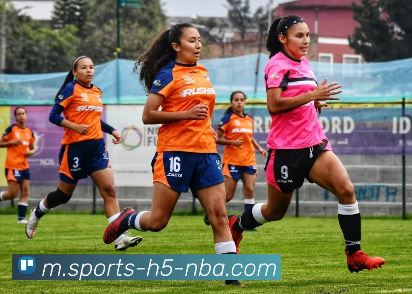 南宫体育平台生态图