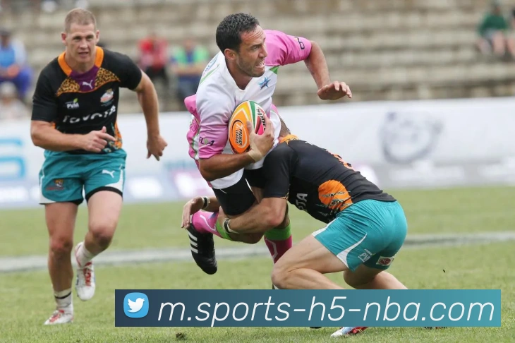 南宫体育APP 封面图